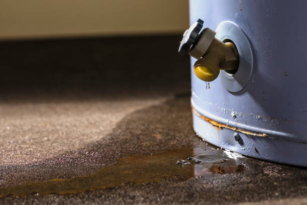 Best Sewage cleanup and water damage restoration  in Cambridge City, IN