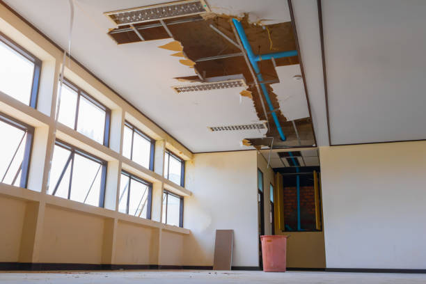 Best Flooded house restoration  in Cambridge City, IN