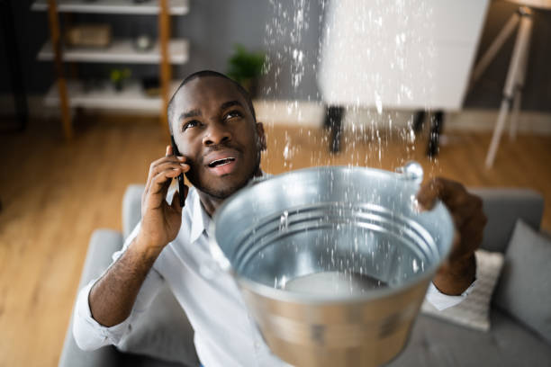 Best Water damage restoration near me  in Cambridge City, IN