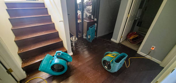 Best Ceiling water damage repair  in Cambridge City, IN
