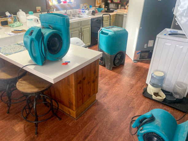 Best Professional water damage repair  in Cambridge City, IN