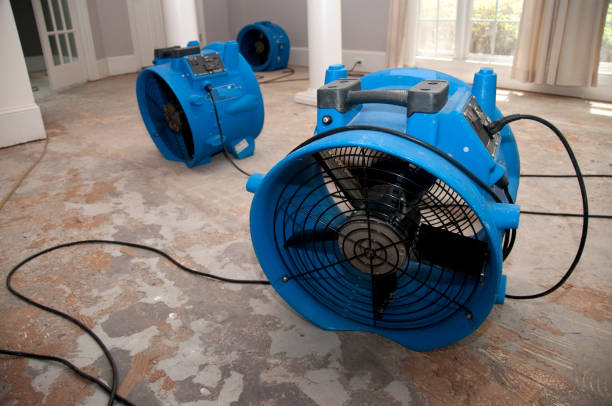 Best Water damage contractors near me  in Cambridge City, IN