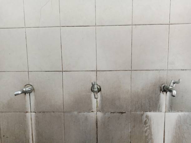 Best Carpet water damage restoration  in Cambridge City, IN