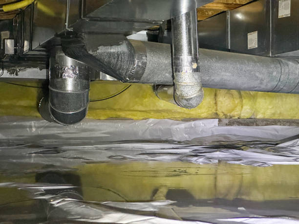 Best Local water damage restoration  in Cambridge City, IN
