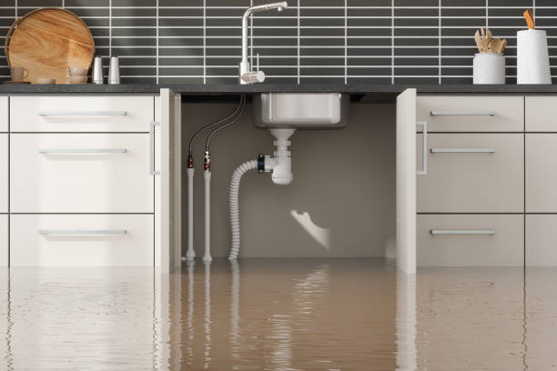 Best Flood damage cleanup  in Cambridge City, IN