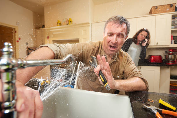Best Mold removal after water damage  in Cambridge City, IN